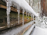 Pic-48 - High Country Icicles